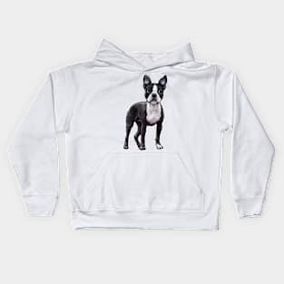 Boston Terrier Dog Kids Hoodie